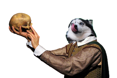 Mr. Starwolf