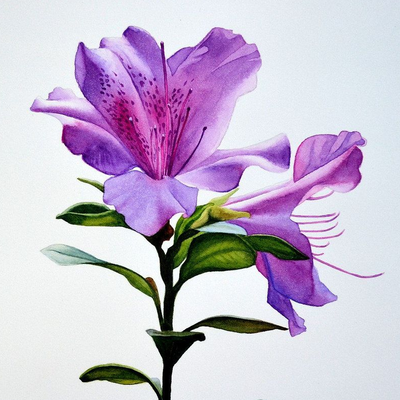 Azalea Korita