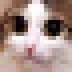 Pocketsizedcat