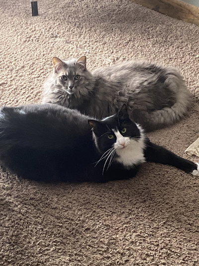 Lopsided Chopz 