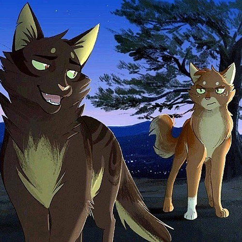 Goldenflower (queen of ThunderClan)