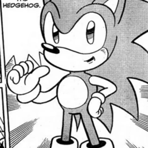 Paulie the Hedgehog