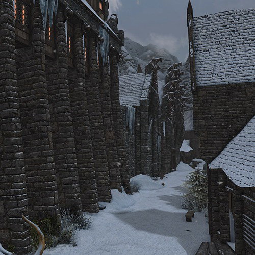 Middle age Female Nord