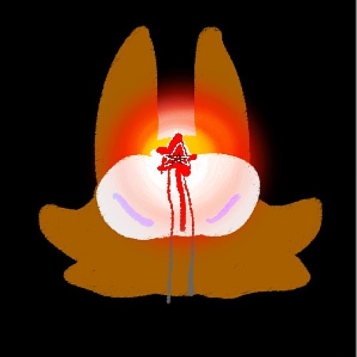 Darkkit / Darkpaw / Darkstorm