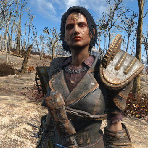 Fallout 4 Companion Mod (Character)