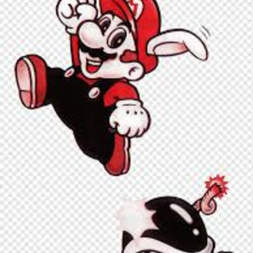 Paper Mario Land-Voice acting 2