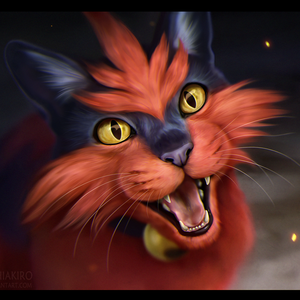 Torracat