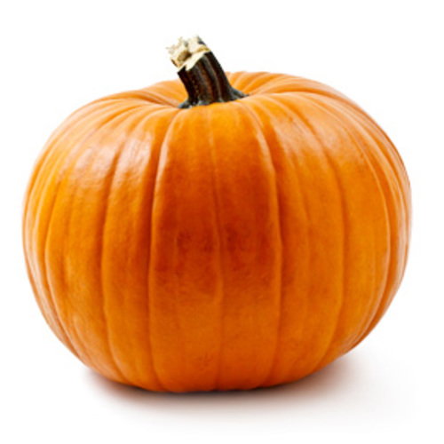 Halloween Short Skit *VOICE ACTRESS NEEDED ASAP*
