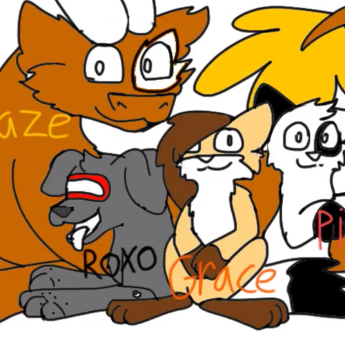 Kitty Krew Auditions