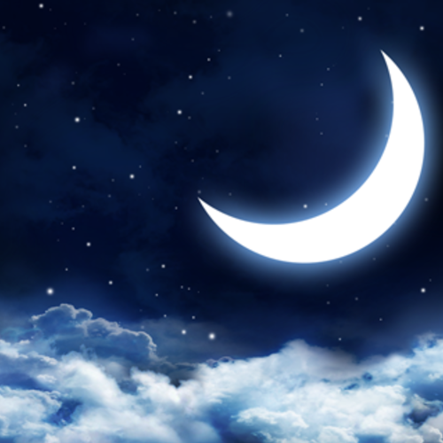 ~A Minecraft High School Roleplay: Crescent High School~