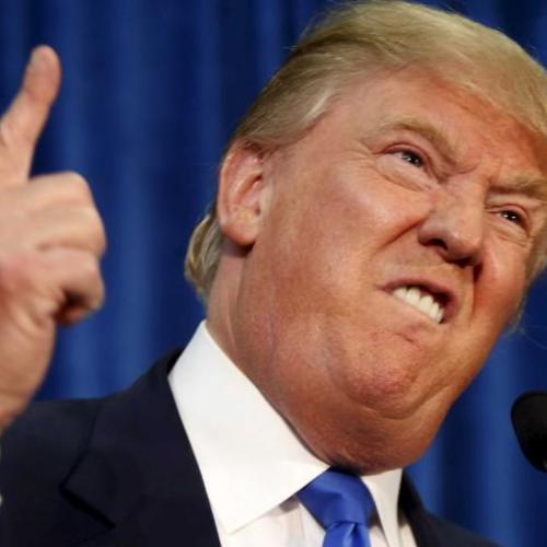 Dominant Male/Females