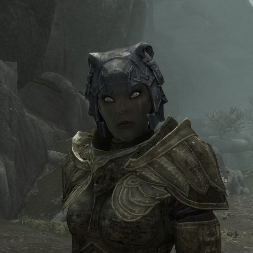 High Elf female voice actress needed for Skyrim mod