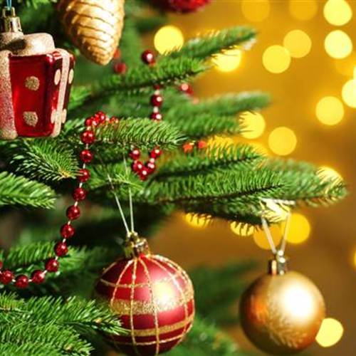 Christmas Love Story Audition