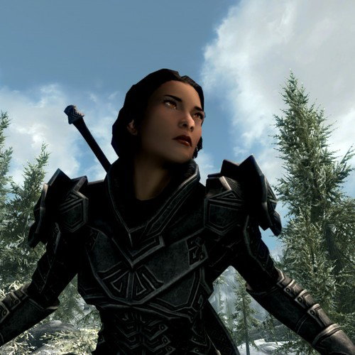 Female Voice Required for Skyrim Follower Mod