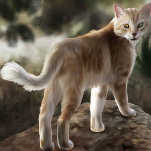 Weepingtiger