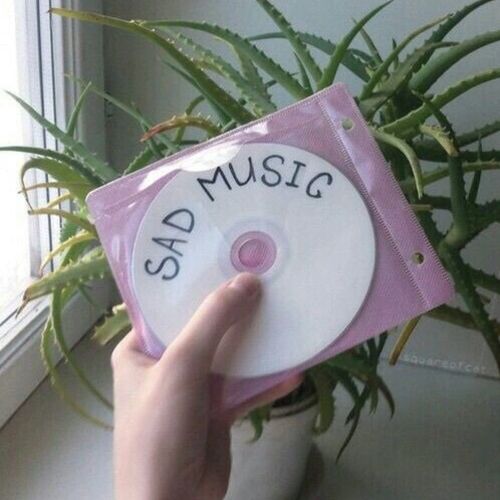 02. guitar // bass // strings