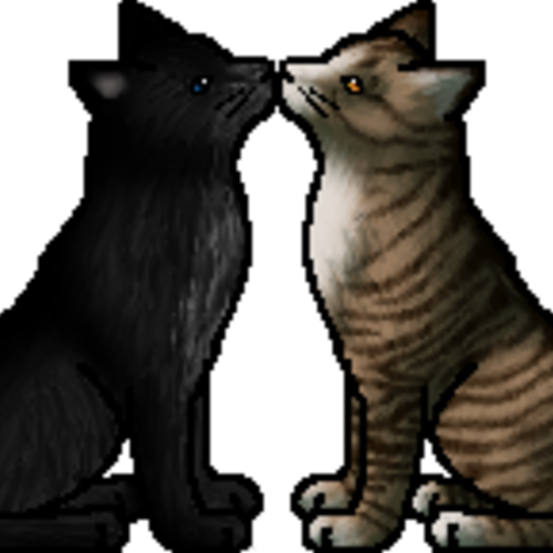 Cloudtail