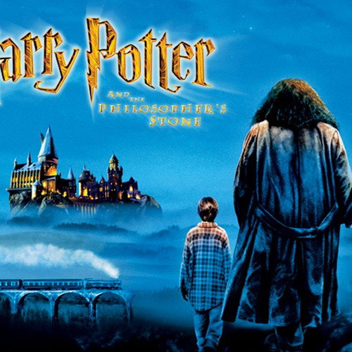 Harry Potter Roles 