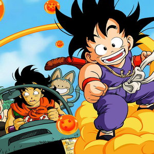 Turtle Hermit U/S