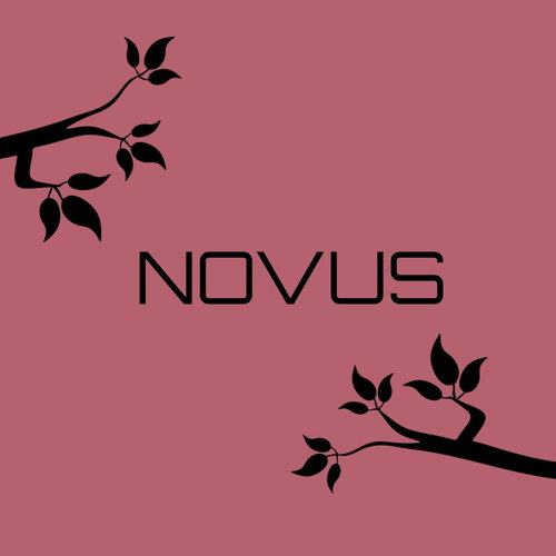 Novus, K-POP Cover Group.  (KPOP)