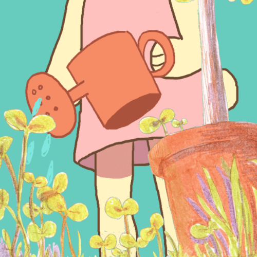 Rabbit
