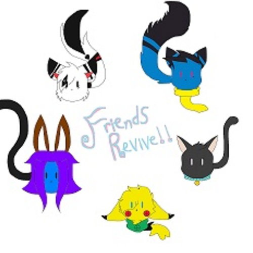 Nimacatty/Nima Streaks