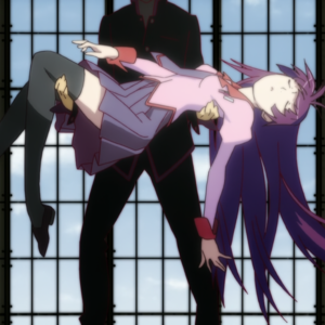 Bakamonogatari (Bakemonogatari Abridged)