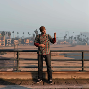 Reflection (Grand Theft Auto V Machinima)