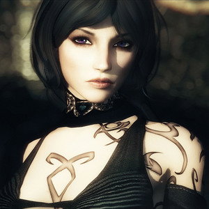 Elder Scrolls V Skyrim Follower Mod