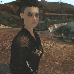 Mallory - A Fallout: New Vegas Companion