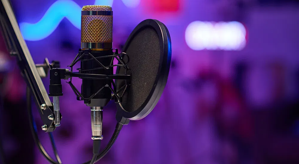 Project Singer singer | Casting Call Club