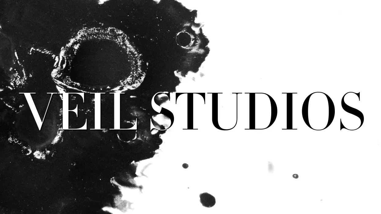 Unnamed Animated Series - Veil Studios