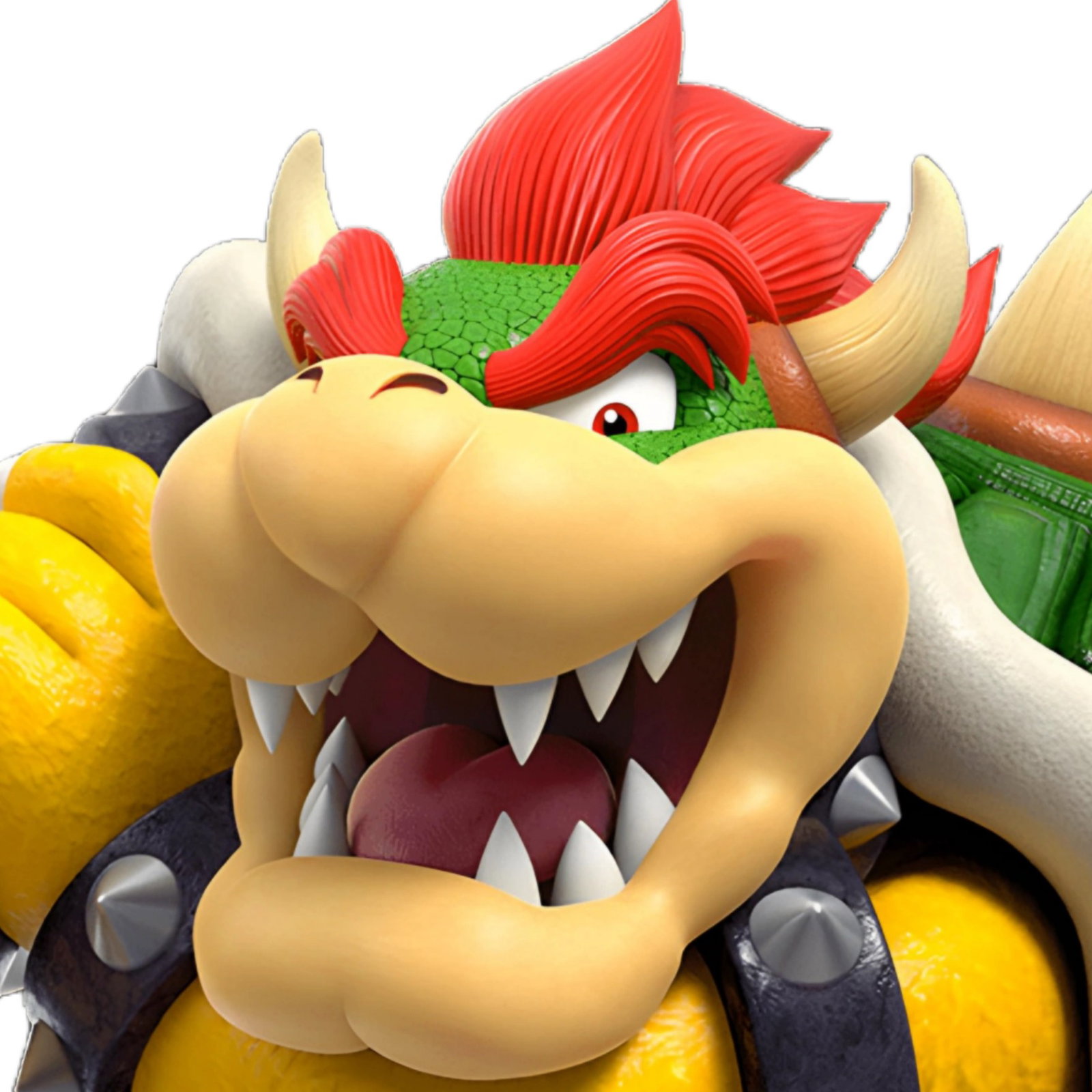the bowser/xiao voice initiative