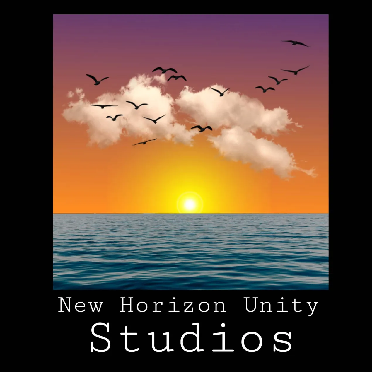 New Horizon Unity Studios
