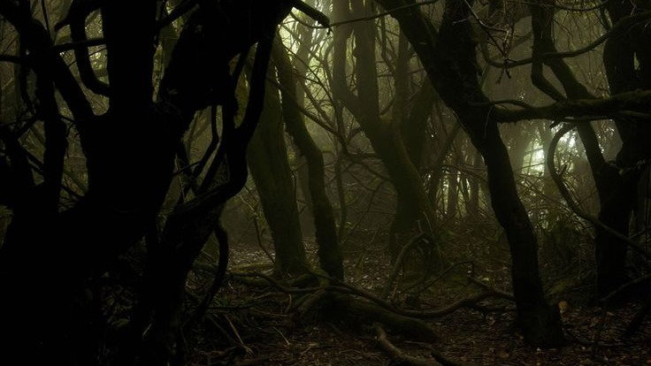 Untitled Psychological Horror Short Film