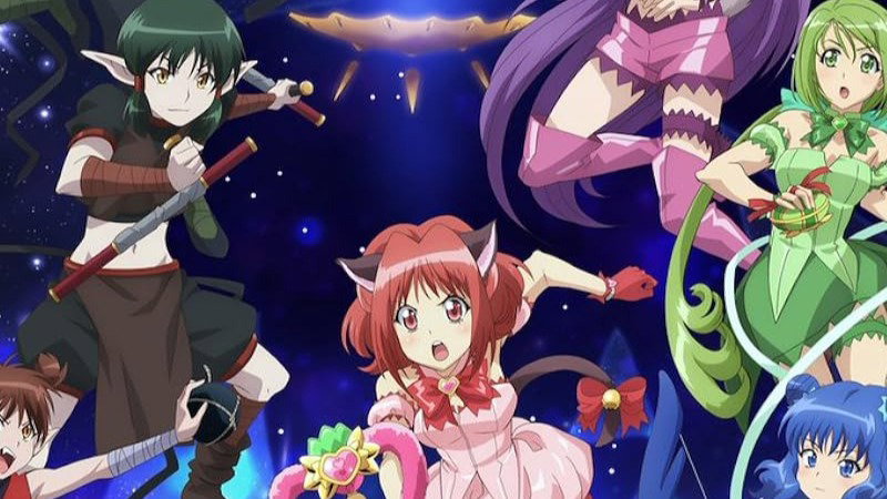 Tokyo Mew Mew New Fandub