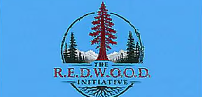 R.E.D.W.O.O.D: The Blackout