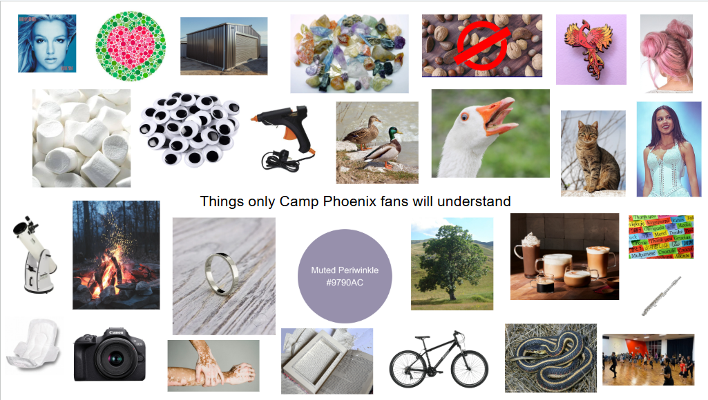 Camp Phoenix