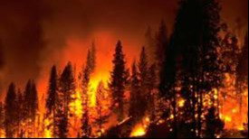 Part-time Advertizer for Conflagration