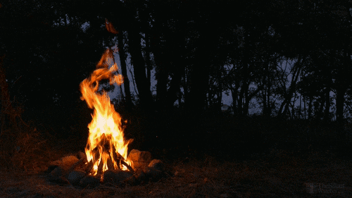 Camp Brightwood