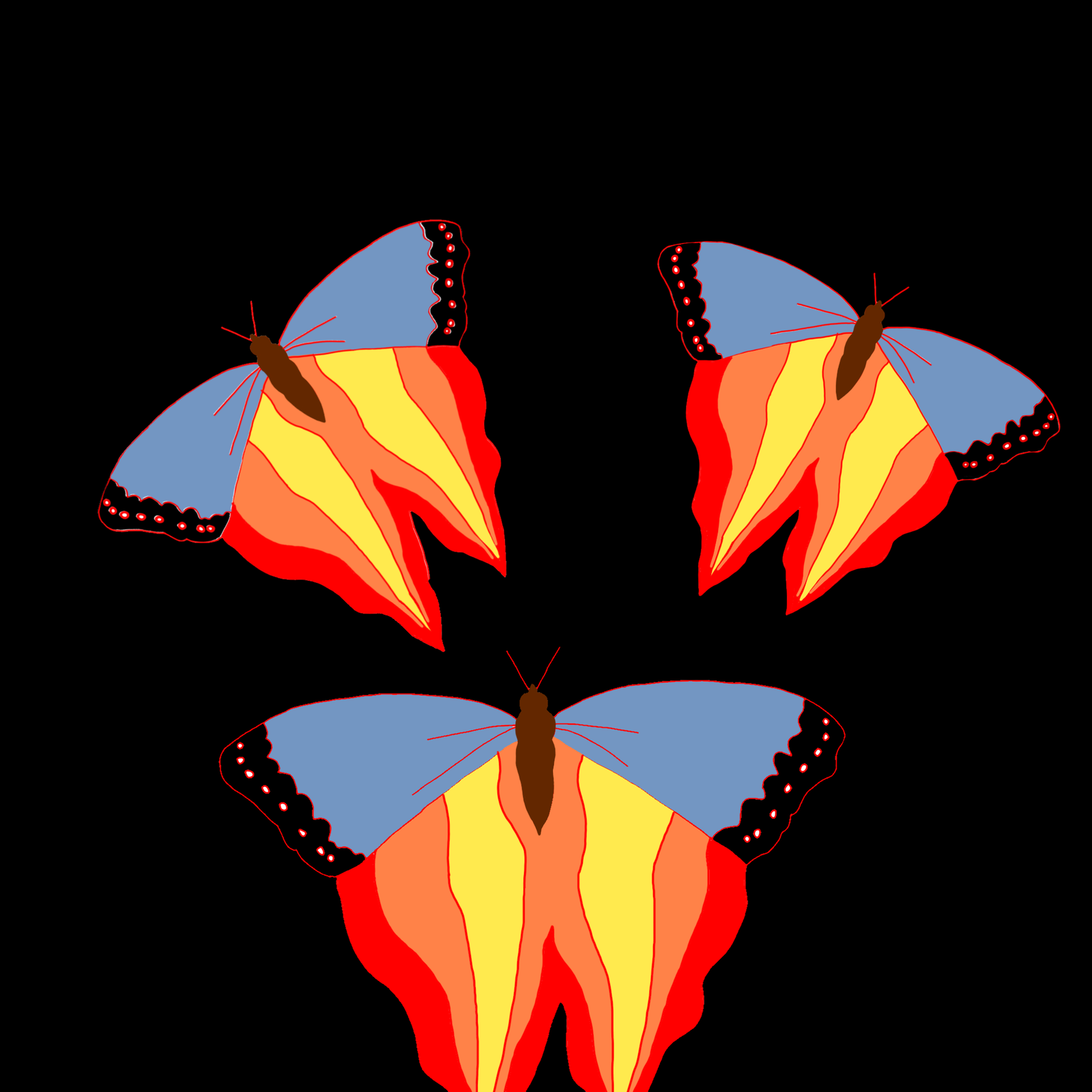 Butterflies Of Fire, A Pop-Punk Band/Group