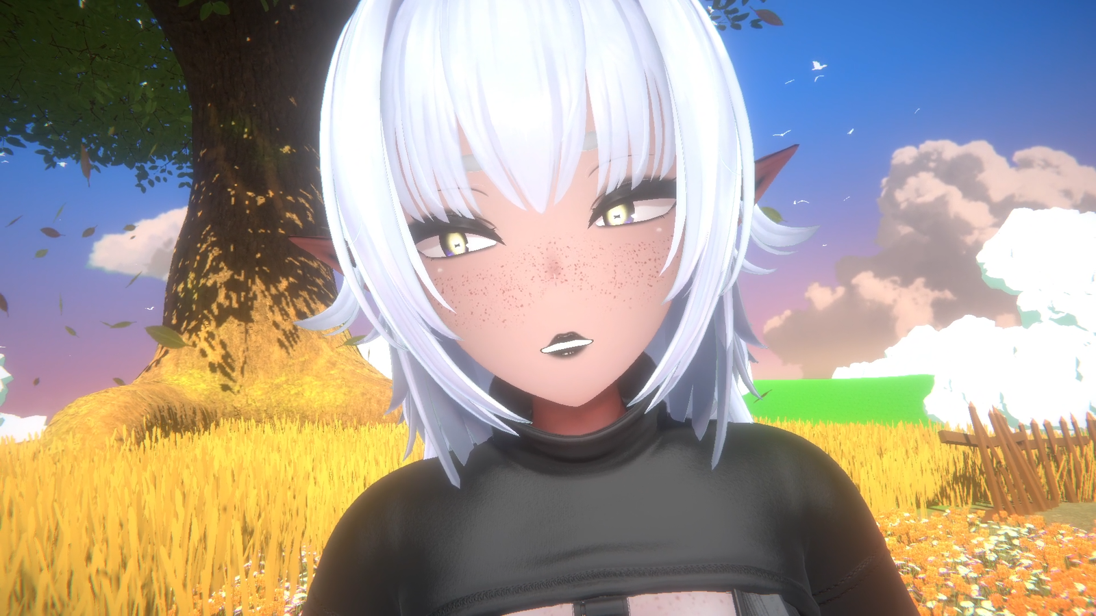 Edit For A Small Vtuber