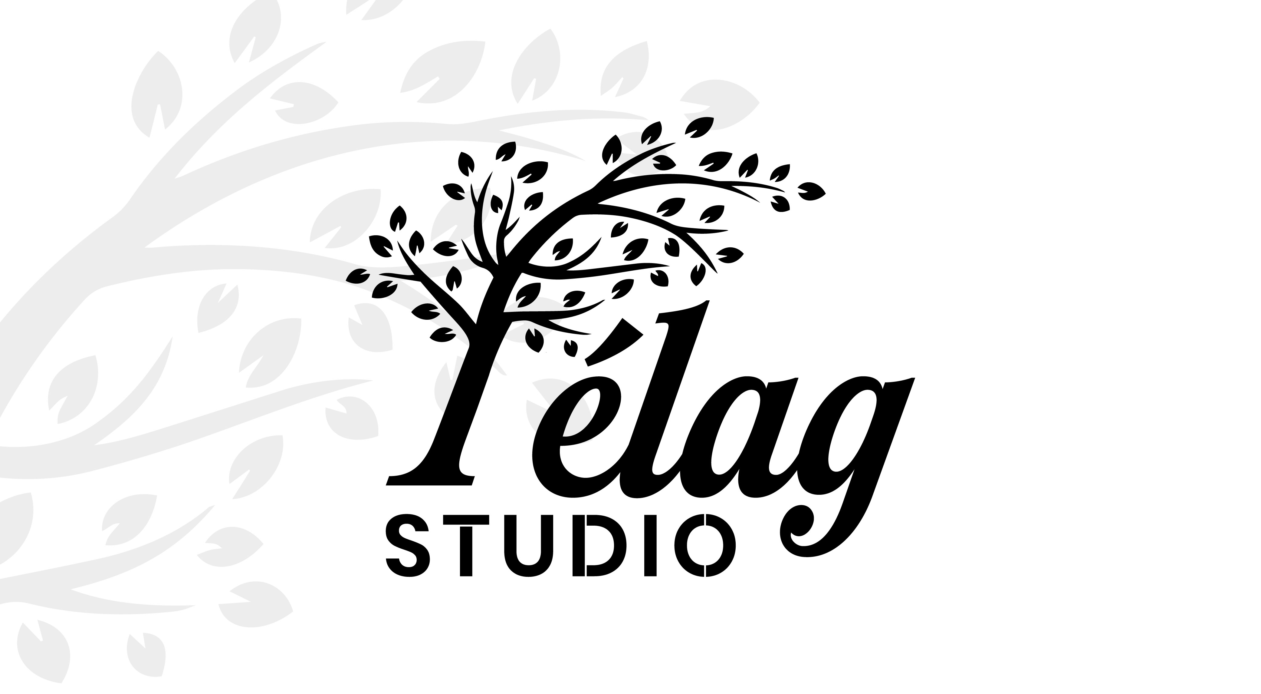 Felag Studio - Einar | Casting Call Club