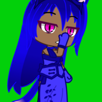 Kitty 