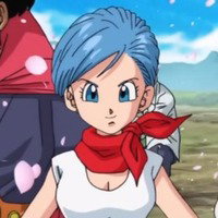 Bulma Briefs
