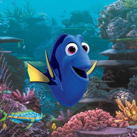 Dory