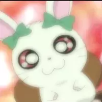 Peek-A-Boo Bunny