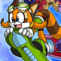 marine the raccoon