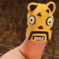 The Cheetah