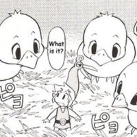 Baby Chicks
